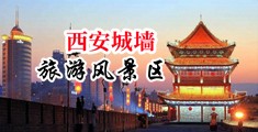 爆乳女神▌麻酥酥哟中国陕西-西安城墙旅游风景区